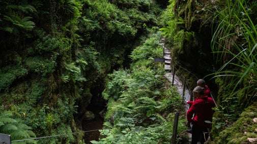 Visitors walking through Lydford Gorge, Devon. This steep-sided river gorge is carved into the western edge of Dartmoor and surrounded by ancient oak woodland, abundant with wildlife.